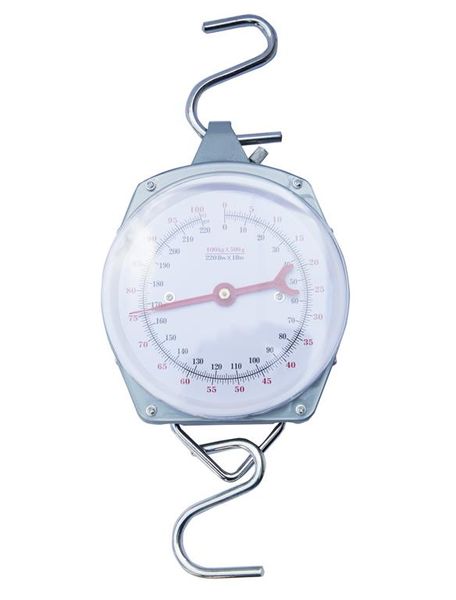 Hanging Scale