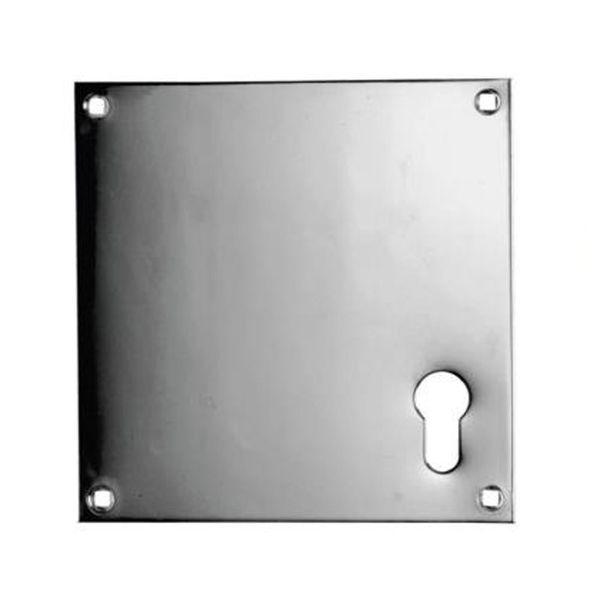 Union Push Plate 152mm Euro SS