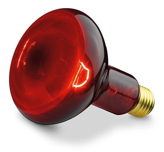 Beurer Infrared Bulb Replacement for Beurer IL 11 Infrared Lamp | 100 Watt
