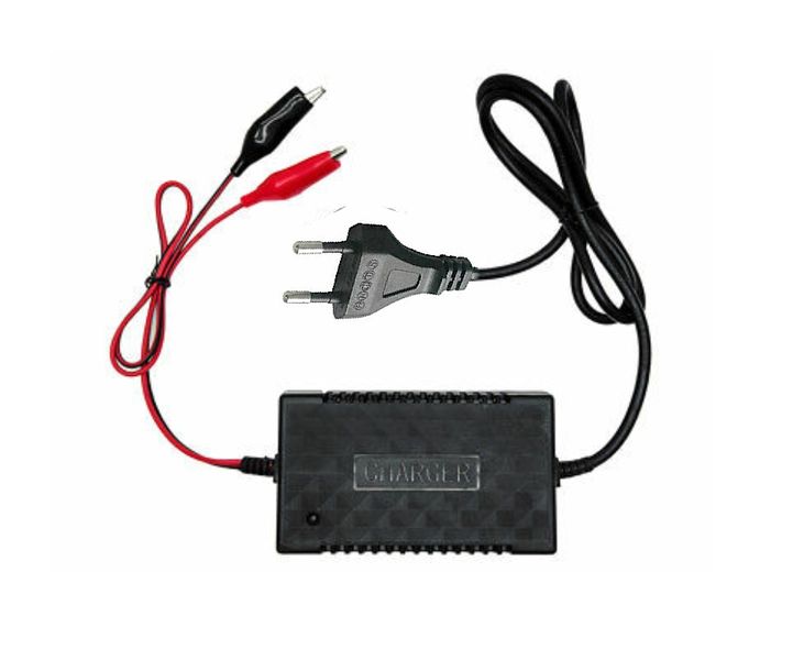 G - Amistar 12V Car Battery Intelligent Pulse Charger