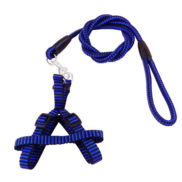 Durable Nylon Leash Harness Set