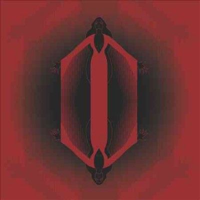 The Theory of Light &amp; Matter (Vinyl / 12" Album)