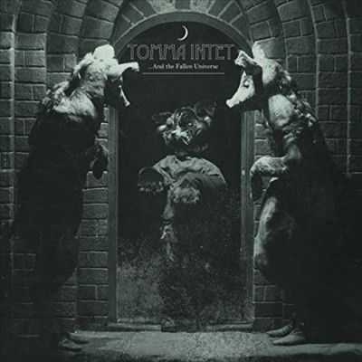 ...And the Fallen Universe (Vinyl / 12" Album)