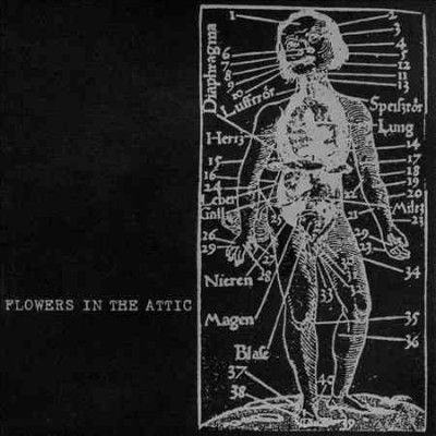 Flower In The Attic - Human (Vinyl)