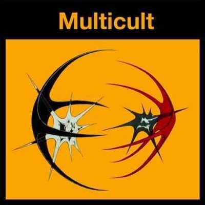Multicult - Position Remote (Vinyl)