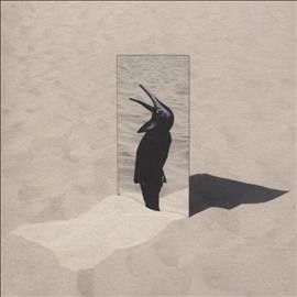 The Imperfect Sea (CD / Album)