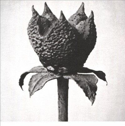 Book of Life (CD / Album)