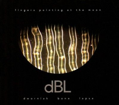 Fingers Pointing at the Moon (CD / Album)