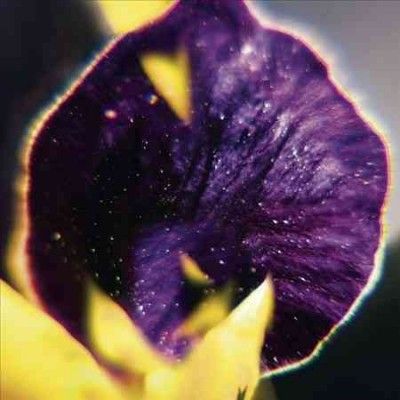 Fis - From Patterns To Details (Vinyl)