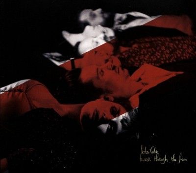 Twist Through the Fire (CD / Album)