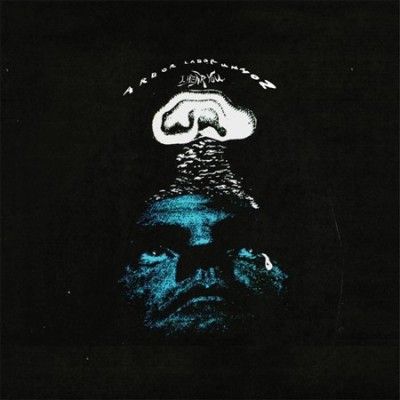 Arbor Labor Union - I Hear You (Vinyl)