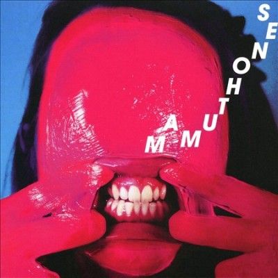 Fear On the Corner (CD / Album)
