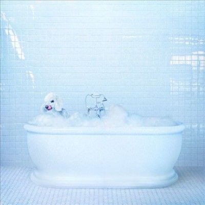 Frankie Cosmos - Vessel (Vinyl)