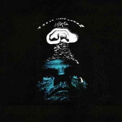 Arbor Labor Union - I Hear You (CD)