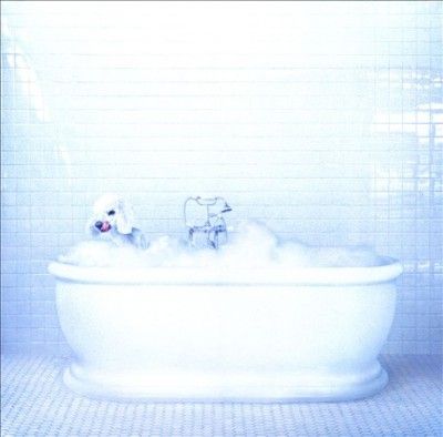 Frankie Cosmos - Vessel (CD)