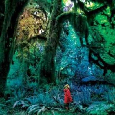 Jacco Gardner - Cabinet Of Curiosities (Vinyl)