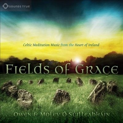 Owen O Suilleabhain - Fields Of Grace (CD)