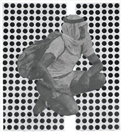 The Album Paranoia (Vinyl / 12" Album)