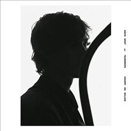 Cherry On Willow (Vinyl / 12" Album)