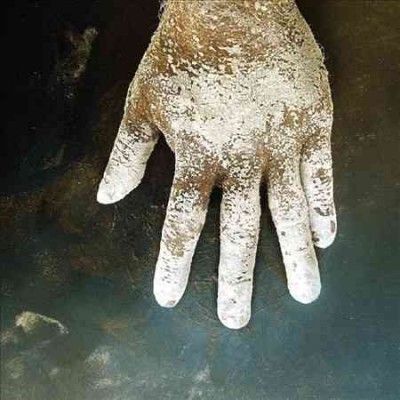 Wrekmeister Harmonie - Night Of Your Ascension (Vinyl)