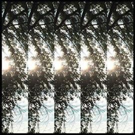 Pontiak - Dialectic Of Ignorance (Vinyl)