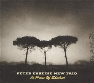 Peter Erskine - In Praise Of Shadows (CD)
