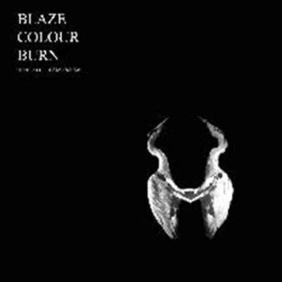 Jan St. Werner - Blaze Colour Burn (fiepblatter Catalo (Vinyl)