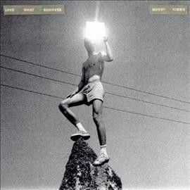 Love What Survives (Vinyl / 12" Album)