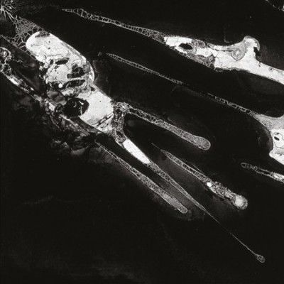 Psychic Health - Psychic Health (Vinyl)