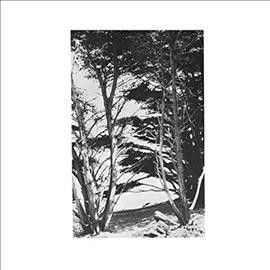 Rick Deitrick - Gentle Wilderness (Vinyl)