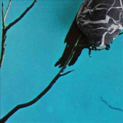 Tangents - Stateless (Vinyl)