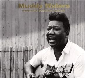 Muddy Waters - Essential Original Albums (CD)