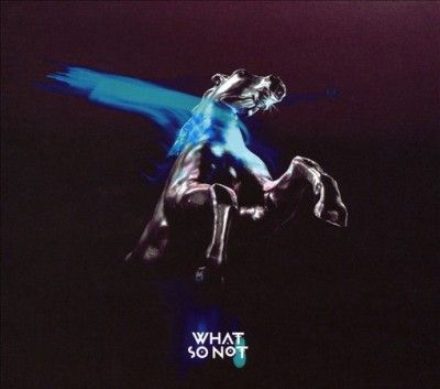 Not All the Beautiful Things (CD / Album)