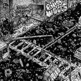 Billy Woods - Known Unknowns (Vinyl)