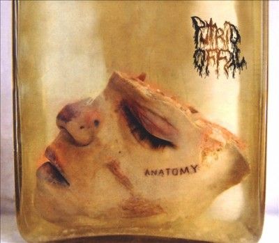 Putrid Offal - Anatomy (CD)