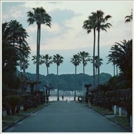 Submerse - Are You Anywhere (Vinyl)