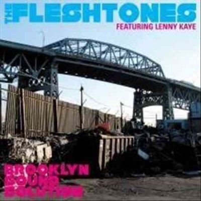 Fleshtones - Brooklyn Sound Solution (Vinyl)