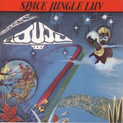 Oneness Of Juju - Space Jungle Luv (Vinyl)