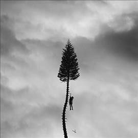 Manchester Orchestra - Black Mile To The Surface (Vinyl)