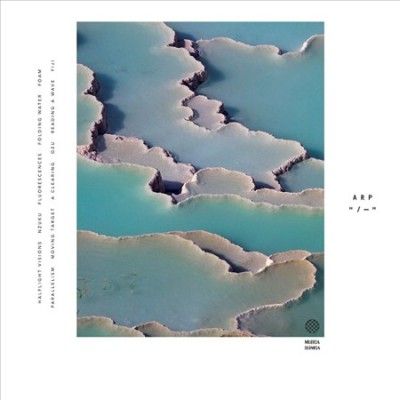 Arp - Zebra (Vinyl)