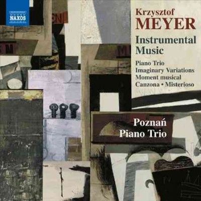 Instrumental Music - Poznan Piano Trio (CD)