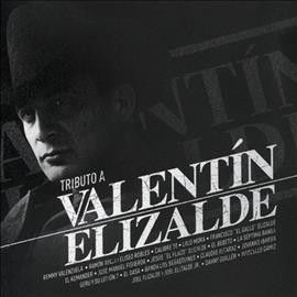 Various - Tributo A Valentin Elizalde (CD)