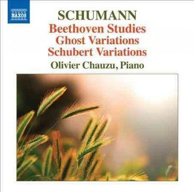 Olivier Chauzu - Beethoven Studies/ghost Variations/sc (CD)