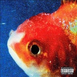 Big Fish Theory (CD)