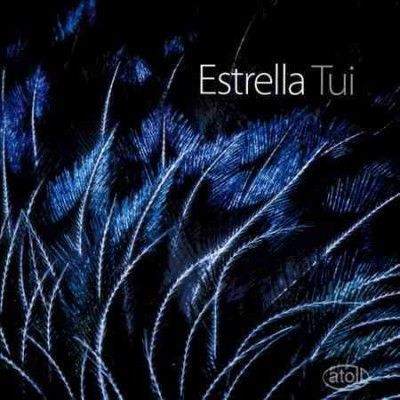 Estrella Quartet - Tui: Works For Two Pianos Eight Hands (CD)
