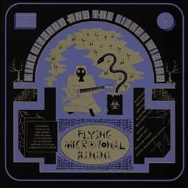 King Gizzard - Flying Microtonal Banana (CD)