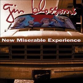 Gin Blossoms - New Miserable Experience (Vinyl)