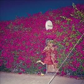 Feist - Pleasure (Vinyl)