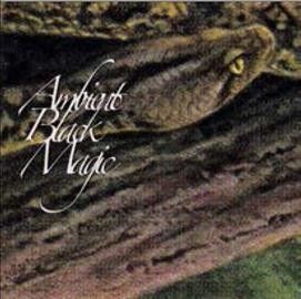 Rainforest Spiritual - Ambient Black Magic (CD)