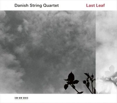Danish String Quarte - Last Leaf (Vinyl)